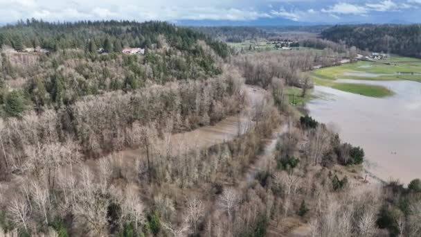 Drone Aérien Cinématographique Des Inondations Sur Duwamish Green River Green — Video