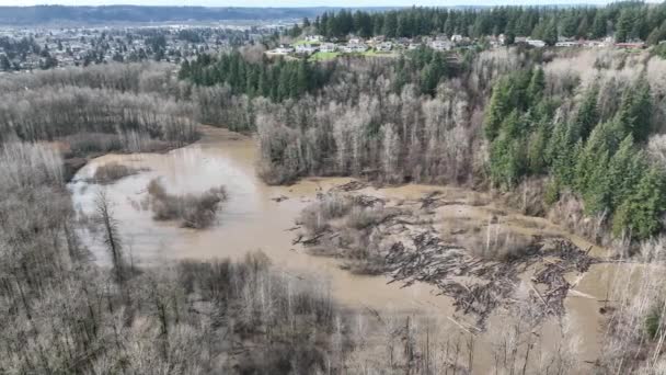 Drone Transporte Aéreo Cinemático Con Proyectiles Inundación Duwamish Green River — Vídeos de Stock