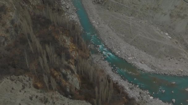 Aerial Trees Riverbank Turquoise Color River Water Hunza Valley — Vídeos de Stock