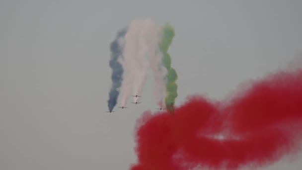 Action Dubai Air Show 2021 Fursan United Arab Emirates Air — Stockvideo