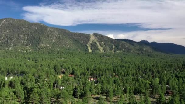 Fly Dense Pine Woods Mountains South Lake Tahoe California Usa — Vídeo de Stock