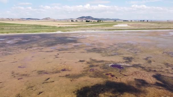 Gallocanta Lake Aragon Spain Aerial Drone View Fly Forward Endorheic — 비디오