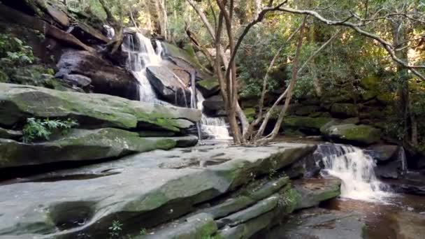 Aerial Drone Pan Scenic Bushland Somersby Falls Picnic Area Central — Stockvideo