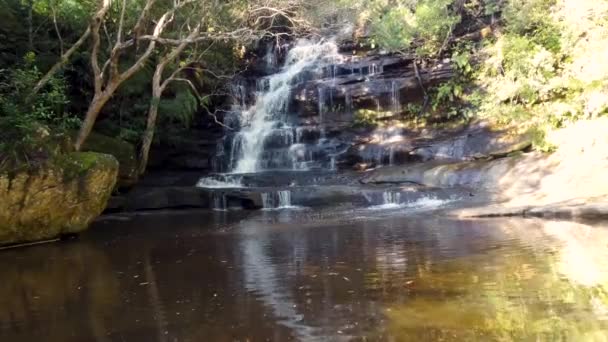 Aerial Drone Scenic Landscape Pan Shot Somersby Falls Waterfall Brisbane — Video Stock