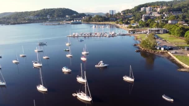 Aerial Drone View Gosford Waterfront Foreshore Yachts Boats Brisbane Water — Video Stock