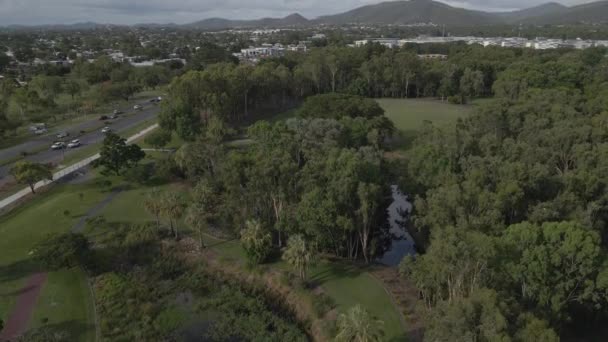 Kershaw Gardens Green Trees Arbusti Torrente Moores Con Camping Area — Video Stock