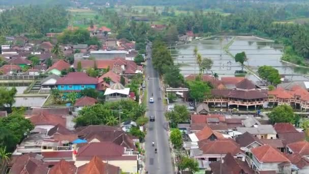 Avance Aéreo Largo Carretera Través Aldea Mungkid Indonesia — Vídeos de Stock