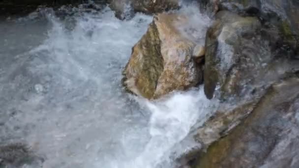 River Water Running Small Basin Rocks — Stock Video