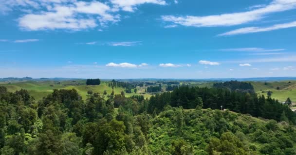 Aérea Sobre Manawatu Rural Idílico Día Verano Nueva Zelanda Aotearoa — Vídeo de stock