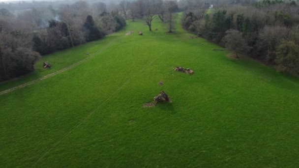 緑の空間の土地に裸のチラシの木があるノニントン草原の田舎の空中高速前進ショット — ストック動画