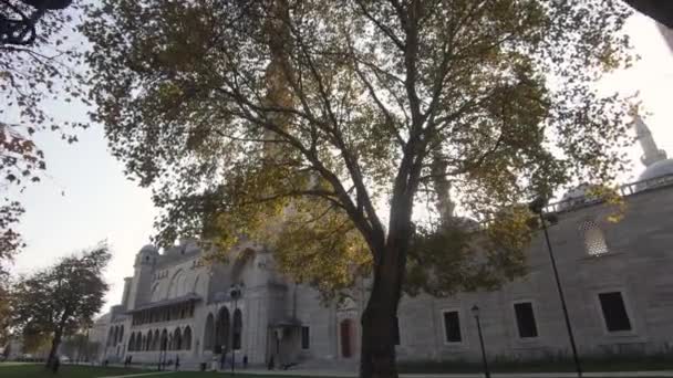 Soleil Travers Les Branches Arbres Avec Mosquée Sleymaniye Arrière Plan — Video