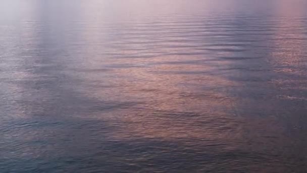 Μετακίνηση Νερό Της Λίμνης Ροζ Αντανακλάσεις Του Ουρανού Νωρίς Πρωί — Αρχείο Βίντεο