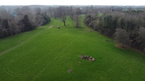 Green Space Land Bare Leafless Trees Nonington Grassland Countryside Aerial — ストック動画