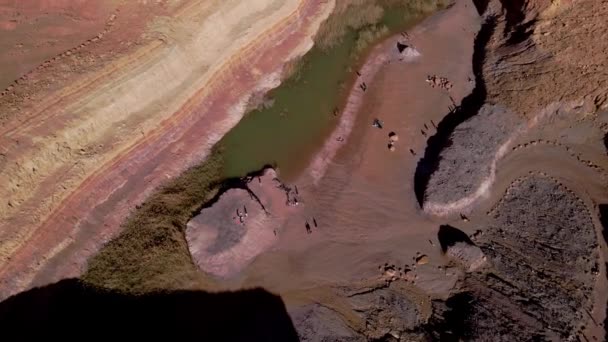 Toeristen Bezoeken Kleurrijke Canyons Van Negev Woestijn Van Drone View — Stockvideo