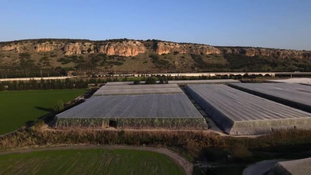 Set Greenhouses Road Side Next Israel Mountains Sunny Day — Wideo stockowe