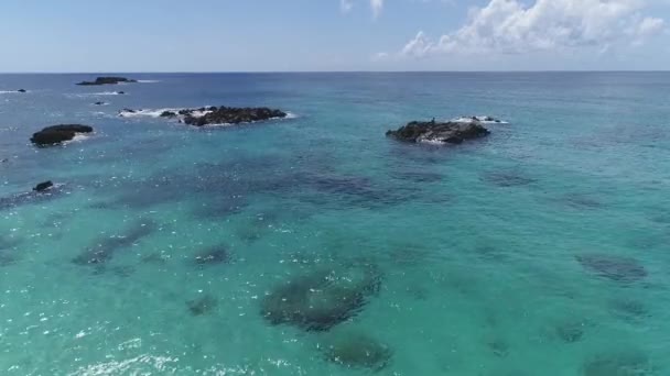 Flyover Submerged Rocks Crystal Clear Sea Pacific Ocean Hawaii — ストック動画