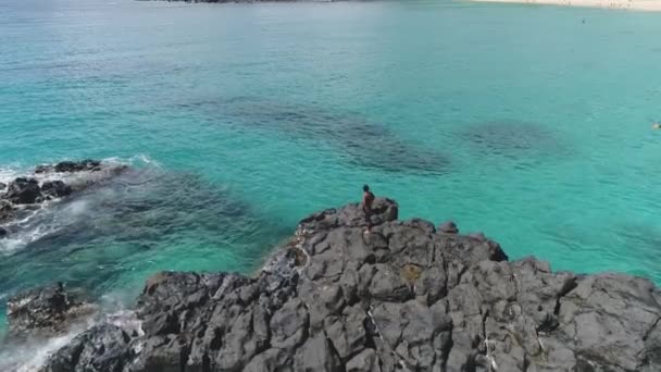 Ascending View Man Top Volcanic Rocks Idyllic Turquoise Water Hawaii — Vídeo de Stock