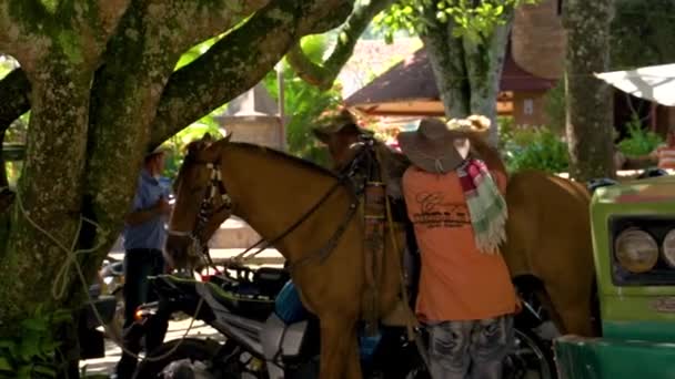Man Saddling Horse Valparaso Colombia — Stockvideo