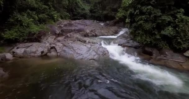 Drone Pushing Flowing River Rainforest Malaysia — Vídeo de Stock