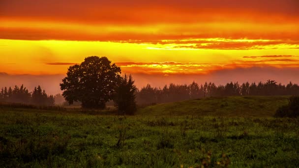 Static Shot Sunset Timelapse Dark Clouds Green Grassland Spring Day — Stock Video