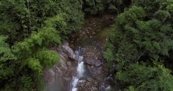 Drone Flying Flowing River Rainforest Malaysia — Stock Video