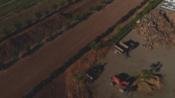 Filas Cultivos Vegetales Plantados Granja Chilliwack Hermosa Primavera Día Aéreo — Vídeos de Stock