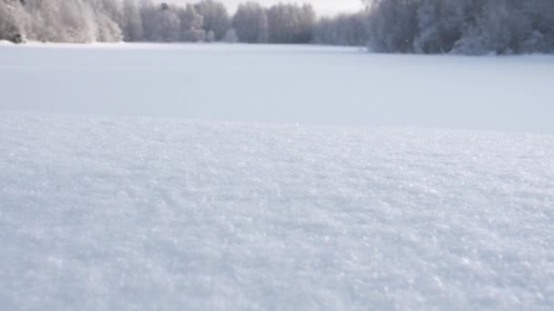 Cachoeira Neve Cena Floresta Inverno Inclinar Câmera Lenta Revelar — Vídeo de Stock