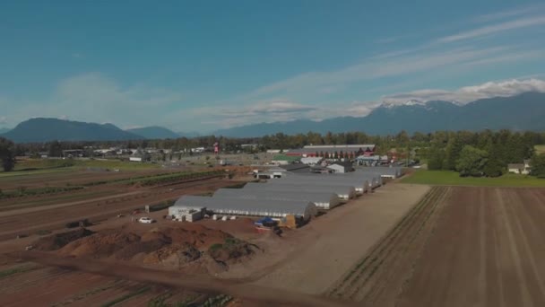 Lokale Oogst Boerderij Markt Chilliwack Perceel Van Land Rijen Gewassen — Stockvideo