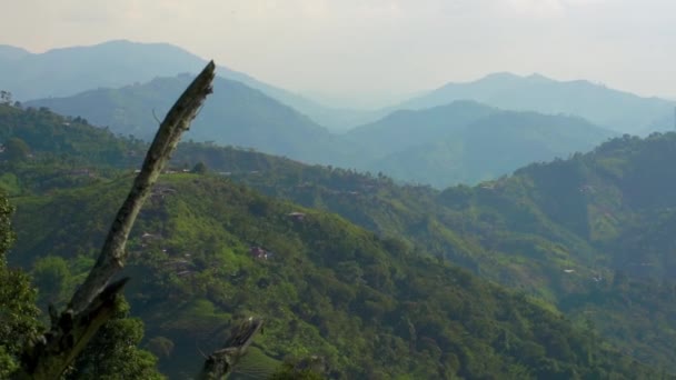 Горный Пейзаж Вальпарасо Колумбия — стоковое видео