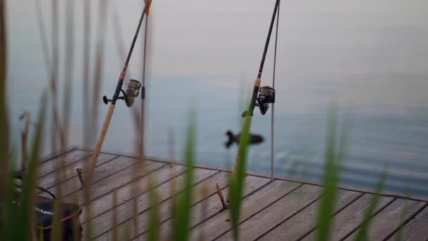 Fishing Background Fishing Rods Shore River Lake Any Person People — Video