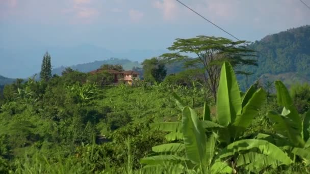 哥伦比亚瓦尔巴罗热带山地景观中一座小山中央的大片地产 — 图库视频影像