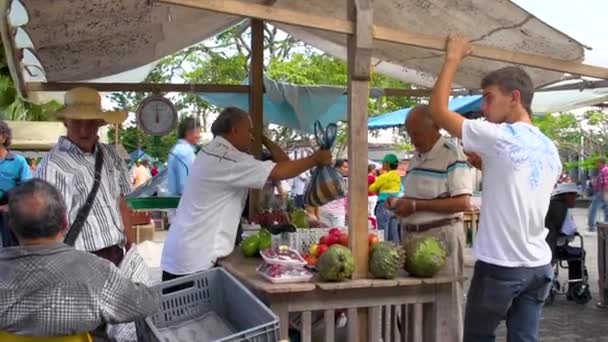 Orang Orang Pasar Oleh Penjual Sayuran Valparaso Colombia — Stok Video