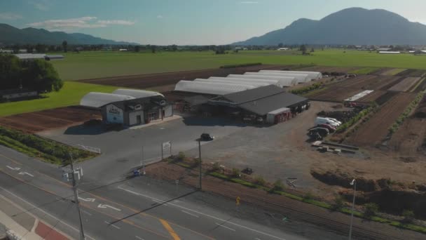 Azienda Agricola Raccolta Locale Mercato Chilliwack Aerea Avvicinarsi Strada Sorvolando — Video Stock
