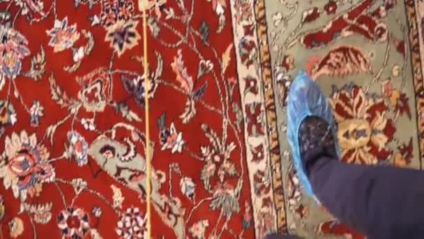 Visiting Museum Shoes Covered Only Preserve Historic Carpet — Video Stock