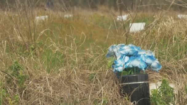 Blommor Placerade Vid Gravsten Okänd Flykting Som Dog Grekland Medel — Stockvideo