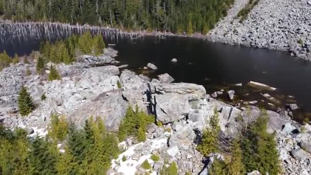 Aerial View Flooded Forest Boulders Snag Lake Spire Lake Vancouver — ストック動画