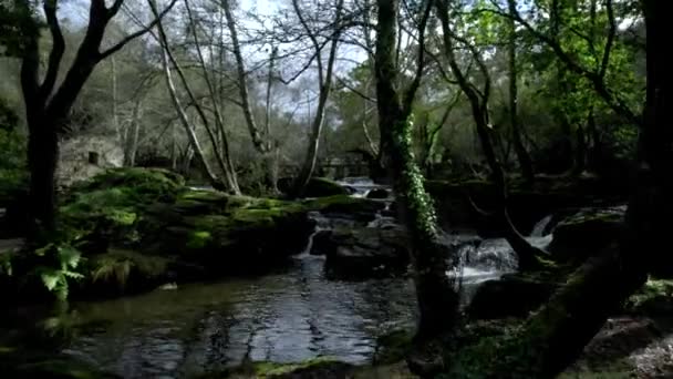 Útočiště Vodních Mlýnů Verdes Corua Španělsko — Stock video