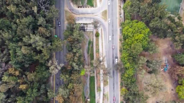 Vista Una Avenida Principal Zapopan Patria Colomos Avenida Vegetación Extensa — Vídeos de Stock