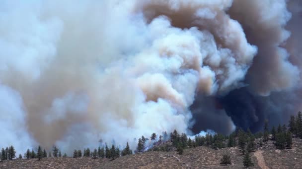 Large Wildfire Smoke Cloud Rising Caused Forest Fires Highlands California — Stock video