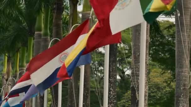 Köra Förbi Linje Internationella Flaggor Framför Semesterort Costa Rica — Stockvideo