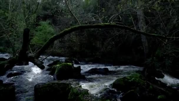 Refuge Verdes Water Mills Corua Spain — Stockvideo