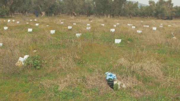 Refugee Graveyard Deceased Woman Men Children Babies Overgrown Field — Vídeo de Stock