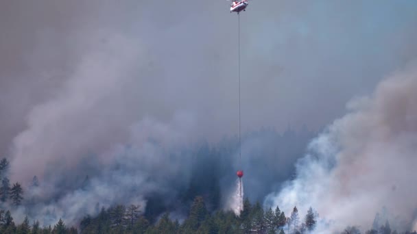 Hélicoptère Survolant Les Incendies Forêt Californie Vue Poche — Video