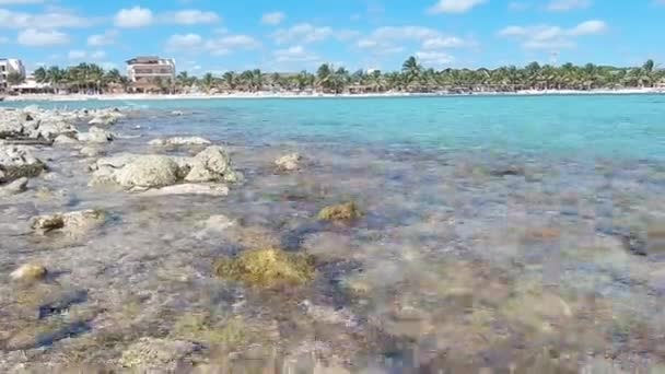 Caribean Lyx Strandlinje Solig Dag Mexiko — Stockvideo