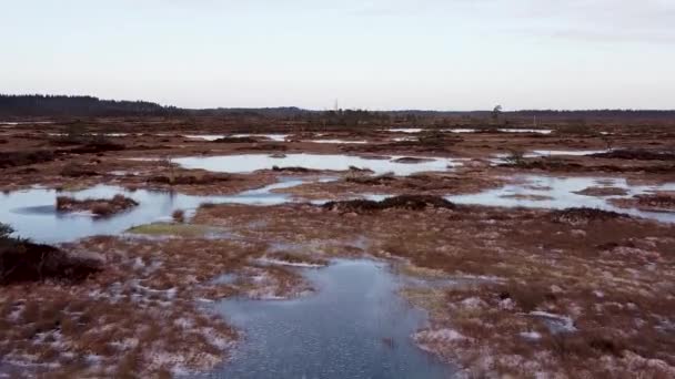 Vue Aérienne Par Drone Des Lacs Gelés Dans Une Tourbière — Video