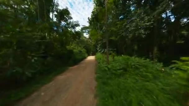 Fpv Drone Shot 4X4 Truck Driving Dense Tropical Rainforest Pov — ストック動画
