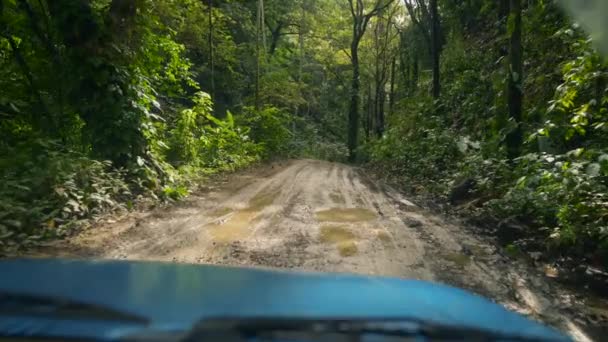 Pov Shot Jeep Driving Dirt Roads Tropical Jungle Slow Motion — Stockvideo