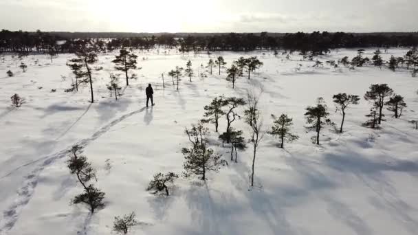 Veduta Aerea Drone Uomo Che Cammina Con Ciaspole Lungo Tranquillo — Video Stock