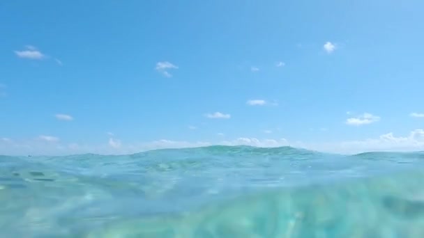 Vista Del Agua Turquesa Una Playa Tropical Exótica Riviera Maya — Vídeo de stock