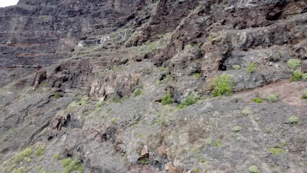 Zicht Vanuit Lucht Ruige Vulkanische Berghellingen Het Anaga National Park — Stockvideo